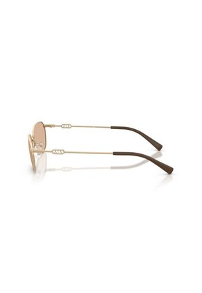 Gafas De Sol Armani Exchange AX2056S Dorado Hombre Y Mujer