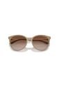 Gafas De Sol Armani Exchange AX4140 Marrón Mujer de Armani Exchange