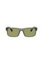 Gafas De Sol Armani Exchange AX4165S Verde Hombre de Armani Exchange