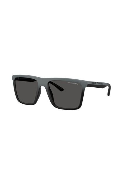 Gafas De Sol Armani Exchange AX4162SU AX4162 Gris Hombre