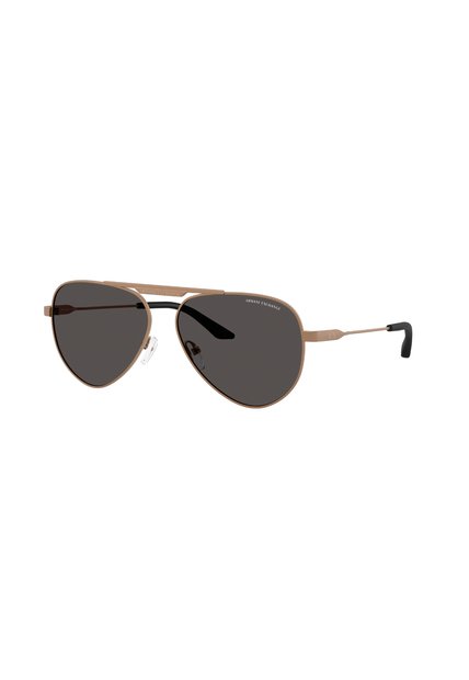 Gafas De Sol Armani Exchange AX2060S Cobre Hombre Y Mujer
