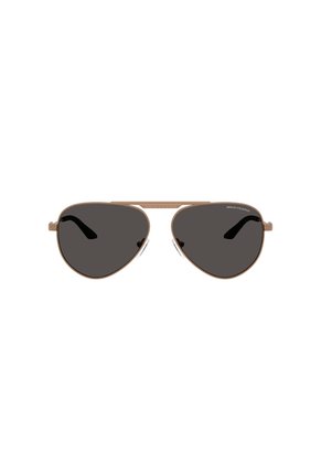 Gafas De Sol Armani Exchange AX2060S Cobre Hombre Y Mujer