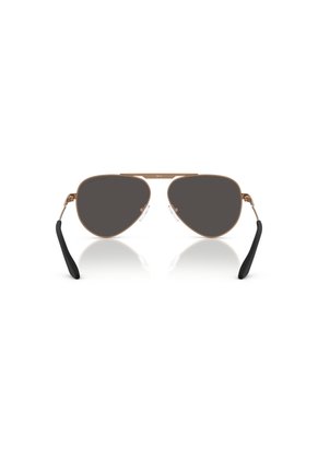 Gafas De Sol Armani Exchange AX2060S Cobre Hombre Y Mujer