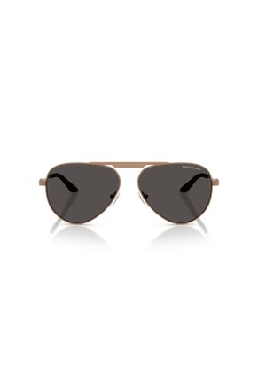 Gafas De Sol Armani Exchange AX2060S Cobre Hombre Y Mujer