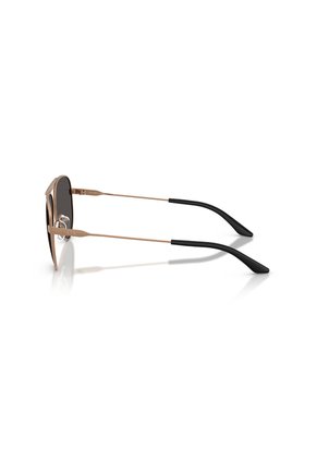 Gafas De Sol Armani Exchange AX2060S Cobre Hombre Y Mujer