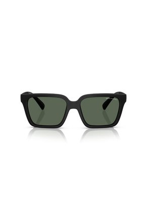 Gafas De Sol Armani Exchange AX4147 Negro Hombre