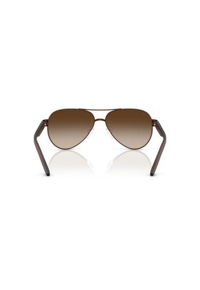 Gafas De Sol Armani Exchange AX2034S Marrón Hombre Degradé