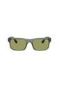 Gafas De Sol Armani Exchange AX4165S Hombre Verde de Armani Exchange