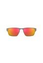 Gafas De Sol Armani Exchange AX2046 Gris Hombre Y Mujer de Armani Exchange