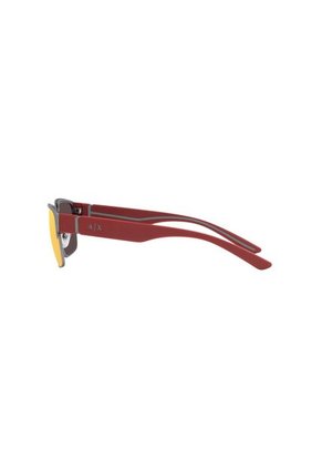 Gafas De Sol Armani Exchange AX2046 Gris Hombre Y Mujer