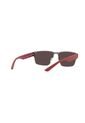 Gafas De Sol Armani Exchange AX2046 Gris Hombre Y Mujer de Armani Exchange