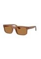 Gafas De Sol Armani Exchange AX4165S Marrón Hombre de Armani Exchange