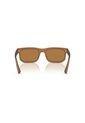 Gafas De Sol Armani Exchange AX4165S Marrón Hombre de Armani Exchange