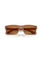 Gafas De Sol Armani Exchange AX4165S Marrón Hombre de Armani Exchange