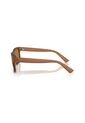 Gafas De Sol Armani Exchange AX4165S Marrón Hombre de Armani Exchange