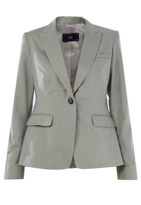 Blazer ARMI Gris