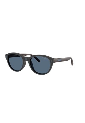 Gafas De Sol Arnette AN4375 Marrón Hombre