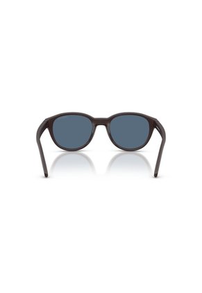 Gafas De Sol Arnette AN4375 Marrón Hombre