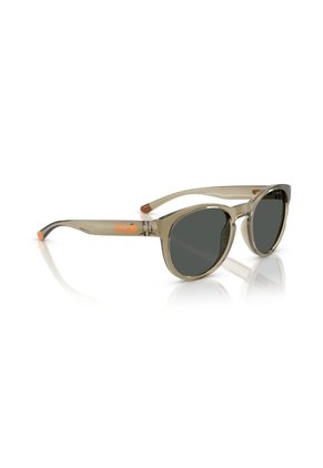 Gafas De Sol Arnette AN4371 Verde Hombre