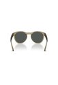 Gafas De Sol Arnette AN4371 Verde Hombre de ARNETTE