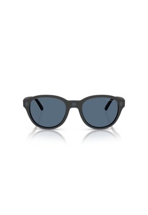 Gafas De Sol Arnette AN4375 Marrón Hombre