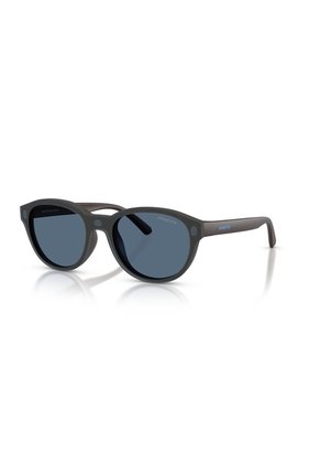 Gafas De Sol Arnette AN4375 Marrón Hombre