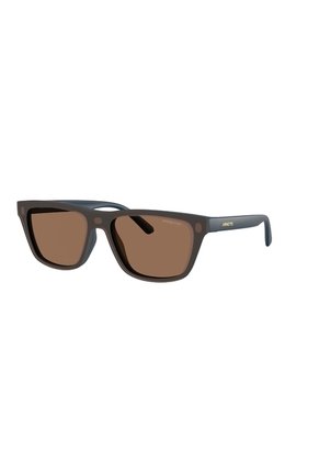 Gafas De Sol Arnette AN4376 Azul Hombre