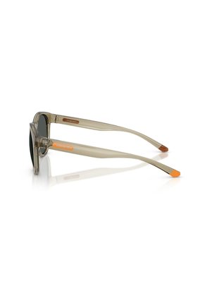 Gafas De Sol Arnette AN4371 Verde Hombre