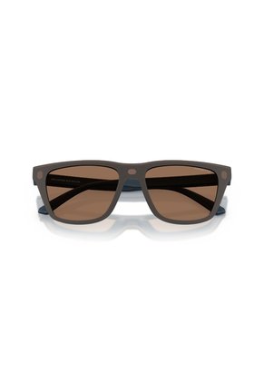 Gafas De Sol Arnette AN4376 Azul Hombre