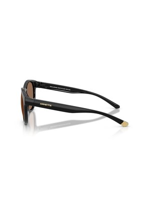 Gafas De Sol Arnette AN4371 Negro Hombre