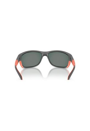 Gafas De Sol Arnette Floresta AN4337 Gris Hombre