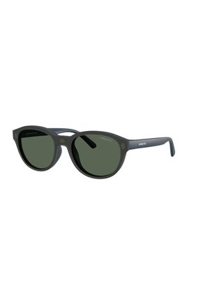 Gafas De Sol Arnette AN4375 Azul Hombre