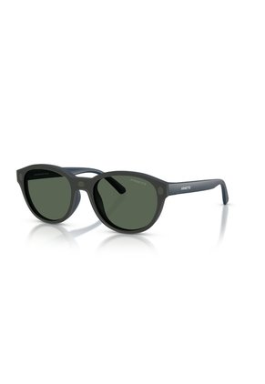 Gafas De Sol Arnette AN4375 Azul Hombre