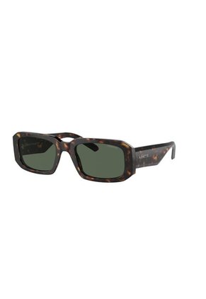 Gafas De Sol Arnette Thekidd AN4318 Marrón Hombre