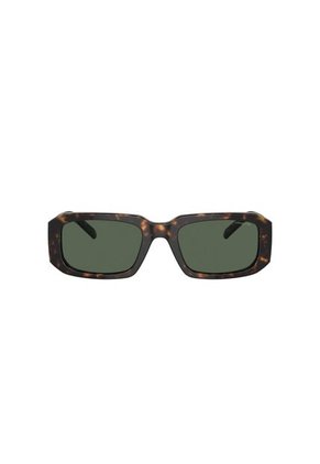 Gafas De Sol Arnette Thekidd AN4318 Marrón Hombre