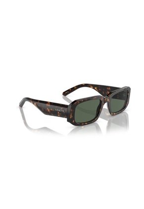 Gafas De Sol Arnette Thekidd AN4318 Marrón Hombre