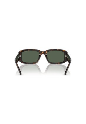 Gafas De Sol Arnette Thekidd AN4318 Marrón Hombre