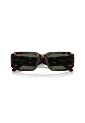 Gafas De Sol Arnette Thekidd AN4318 Marrón Hombre