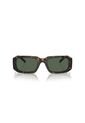 Gafas De Sol Arnette Thekidd AN4318 Marrón Hombre de ARNETTE