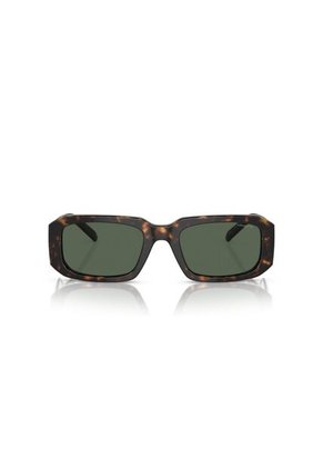 Gafas De Sol Arnette Thekidd AN4318 Marrón Hombre