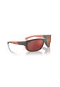 Gafas De Sol Arnette Floresta AN4337 Gris Hombre de ARNETTE