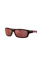 Gafas De Sol Arnette Frambuesa AN4336 Negro Hombre de ARNETTE