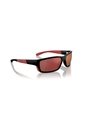Gafas De Sol Arnette Frambuesa AN4336 Negro Hombre de ARNETTE