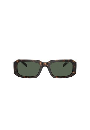 Gafas De Sol Arnette Thekidd AN4318 Marrón Hombre