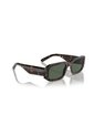 Gafas De Sol Arnette Thekidd AN4318 Marrón Hombre de ARNETTE