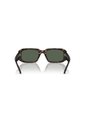 Gafas De Sol Arnette Thekidd AN4318 Marrón Hombre de ARNETTE