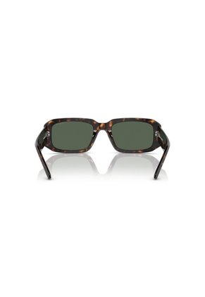 Gafas De Sol Arnette Thekidd AN4318 Marrón Hombre