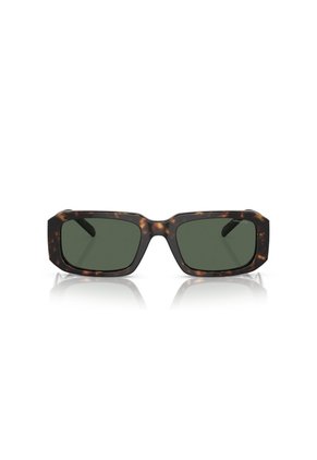 Gafas De Sol Arnette Thekidd AN4318 Marrón Hombre