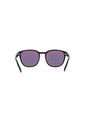 Gafas De Sol Arnette Barranco AN43192871F253 de ARNETTE