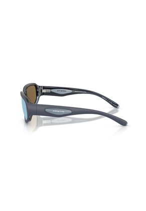 Gafas De Sol Arnette Goodle AN4365 Azul Hombre Polarizado